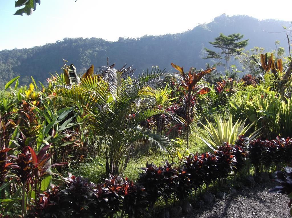 The Bukit Artha Bed & Breakfast Sidemen  Eksteriør bilde