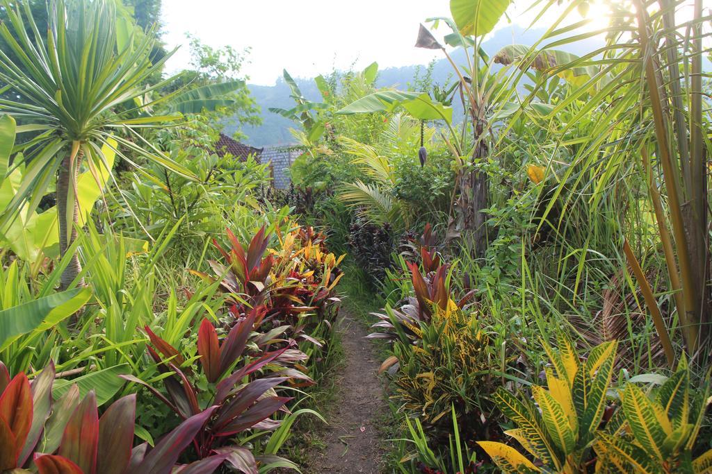 The Bukit Artha Bed & Breakfast Sidemen  Eksteriør bilde