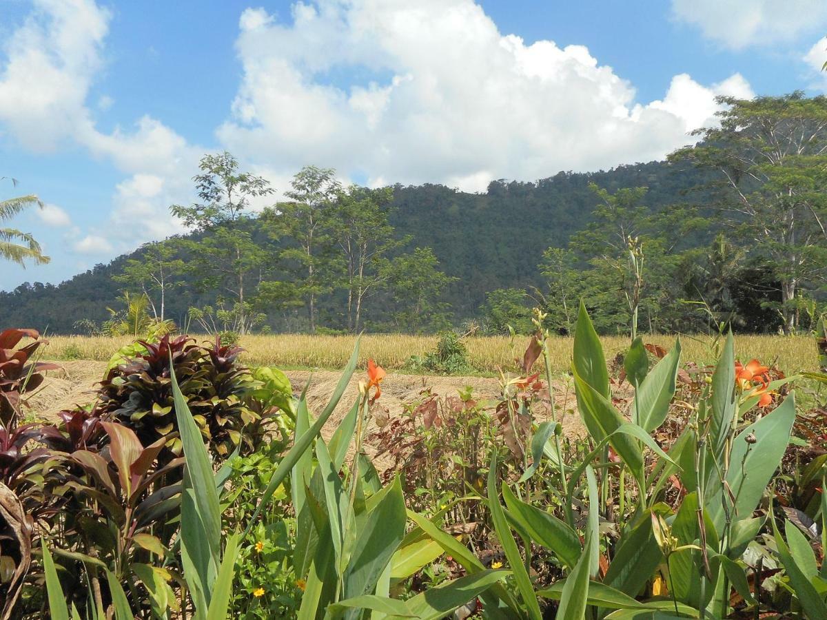 The Bukit Artha Bed & Breakfast Sidemen  Eksteriør bilde