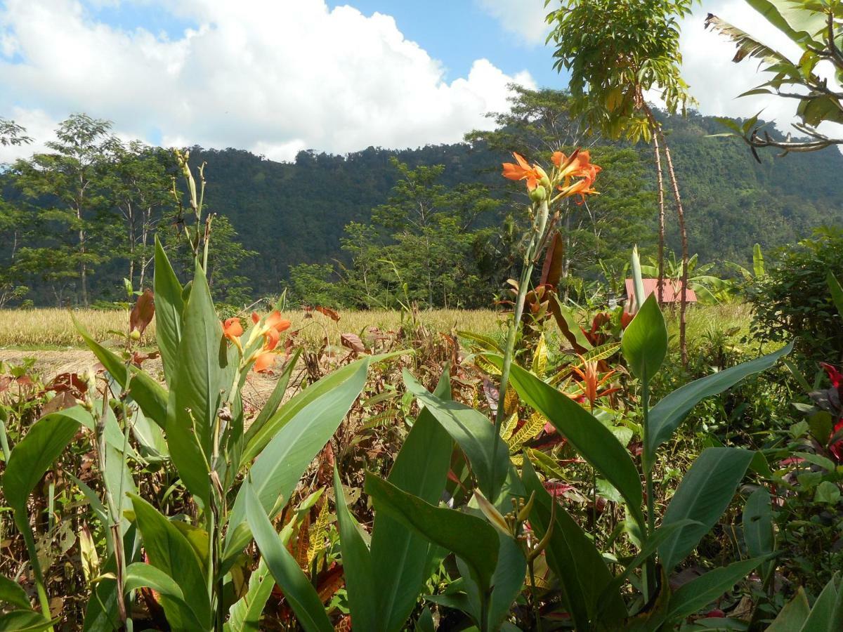 The Bukit Artha Bed & Breakfast Sidemen  Eksteriør bilde