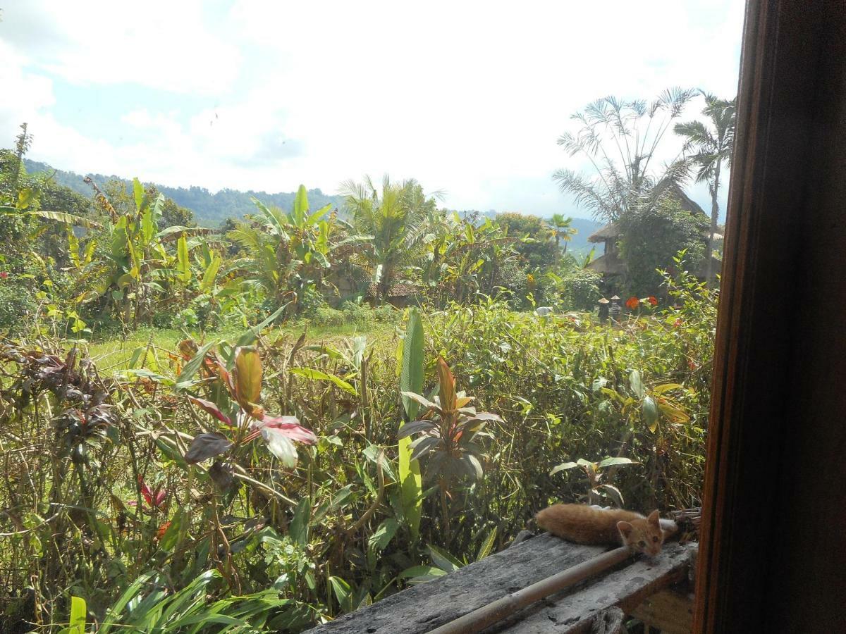 The Bukit Artha Bed & Breakfast Sidemen  Eksteriør bilde