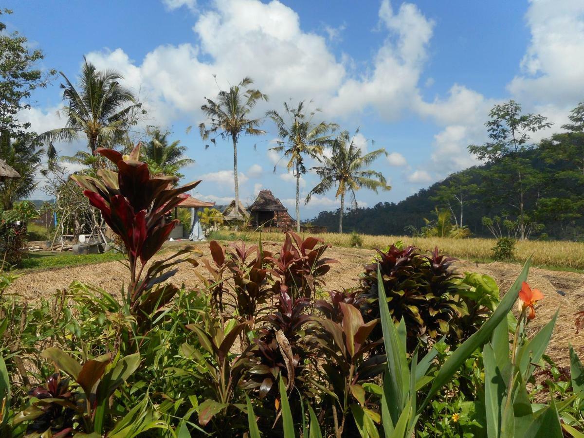 The Bukit Artha Bed & Breakfast Sidemen  Eksteriør bilde